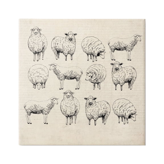 Stupell Industries Vintage Sheep Drawings Animals & Insects Painting Gallery Wrapped Canvas Art Print Wall Art, 17 x 17