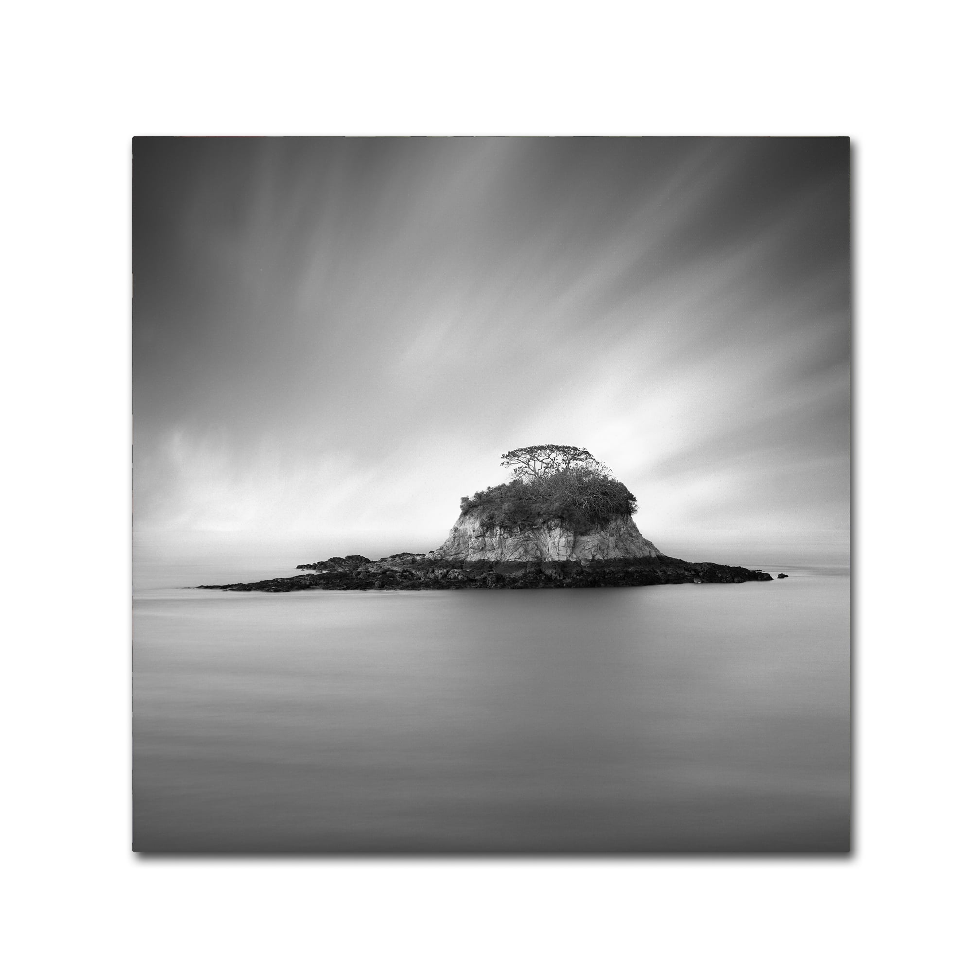 Trademark Fine Art "Rat Island" Canvas Art by Moises Levy