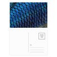 thumbnail image 1 of Pescado azul misterio agrandar Set cumpleaños gracias tarjeta postal correo lado 20pcs, 1 of 3