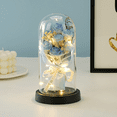 thumbnail image 5 of FTCBJJA Flowers Roses Gifts for Mom ,Forever Real Preserved Roses in Glass Dome for All Occasions, Valentines, Mothers Day, Anniversary, Thanksgiving, Birthday, Blue, 5 of 7