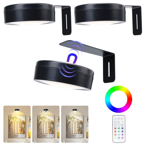 3-Pack Picture Lights for Wall, Battery Operated LED Poster Sconce 13 RGB Colors, Magnetic Remote Dimmable Timer Art Display Lighting for Home Bedroom Frame Decor