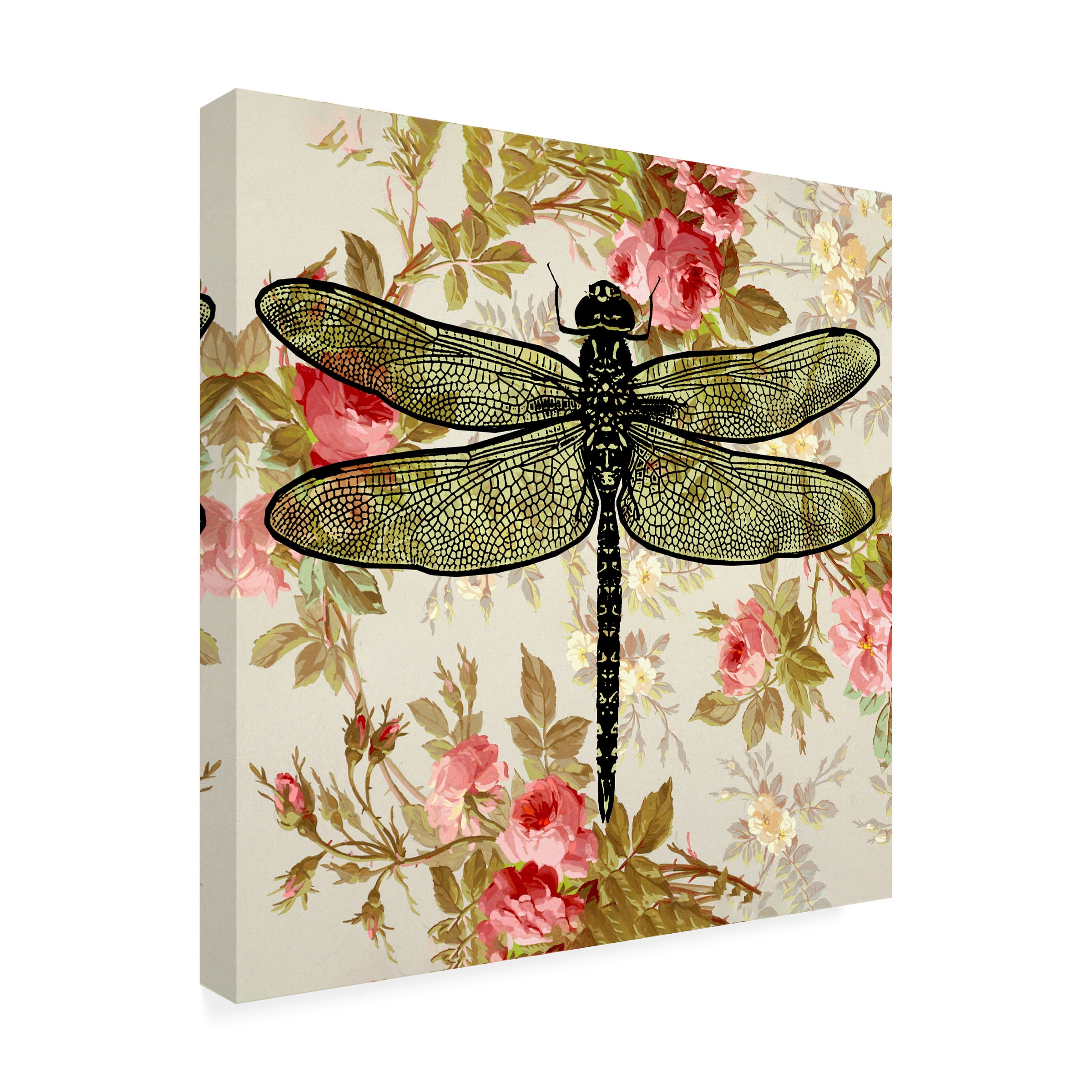 Canvas Wall Art - Dean Russo- Exclusive 'Dragonfly Wallpaper Square' Wall Art for Living Room, Bedroom, or Office DÃ©cor by Trademark Fine Art - 24 x 24 Inches