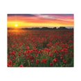 thumbnail image 4 of Beautiful Poppy Field During Sunrise Flower Canvas Wall Art for Home Decor Ready-to-Hang, 4 of 18