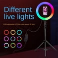 thumbnail image 3 of Trípode Selfie Regulable Con Luz LED RGB De 10" Para Fotografía De Maquillaje Sunnimix lámpara de relleno selfie, 3 of 8