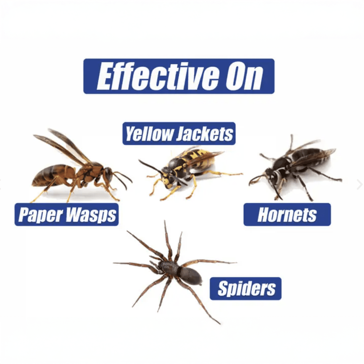 EcoVia WH Stinging Insect Killer - 16 oz Aerosol Can by Rockwell Labs