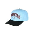 thumbnail image 6 of Pokemon Adult Embroidered Precurve Snapback Hat For Men and Women, 6 of 7