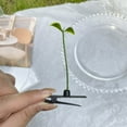 thumbnail image 5 of Tyeign Sprout Hair Clips Little Grasst Hairpins Funny Barrette Headwear Hair Accessories for Women Girls Teens Daily Wear office Office Home Party Gift Cute Trendy Stuff, Funny Grass Hairpin, 5 of 7
