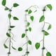 thumbnail image 5 of 50 piezas de clips para plantas trepadoras de pared, clips verdes para enredaderas, clips invisibles para plantas trepadoras, clips para plantas de pared, ganchos para enredaderas, 5 of 5