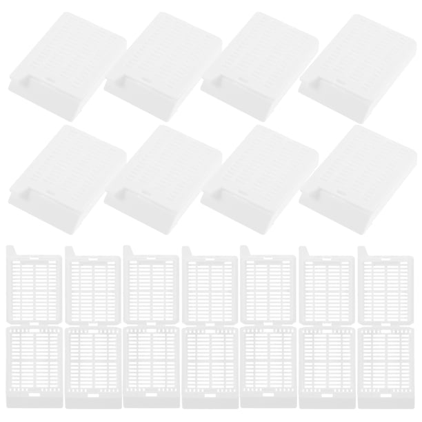 FELTECHELECTR 200 casetes científicos de plástico con orificios cuadrados para el procesamiento de tejidos (blancos)