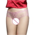 thumbnail image 2 of TMOYZQ Women's Crotchless Panties Embroidery Sheer Mesh See Through Briefs Bikini Panties Stretch Breathable Underpants Cheeky Underwear Naughty Lingerie, 2 of 6