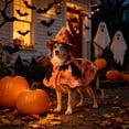 thumbnail image 7 of Halloween Pet Cloak Hat Set, Cute Festival Costume for Dogs and Cats, Soft and Cozy Holiday Dress Up Outfit, Adjustable Fit for Pets, 7 of 7