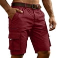 thumbnail image 4 of Men's Cargo Shorts Quick Dry Lightweight Knee Length Bermuda Shorts with Pockets Elastic Waist Work Hiking Short Wine S, 4 of 5