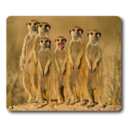 POPCreation Meerkats Crowd Set On Danger Mouse pads Gaming Mouse Pad 9.84x7.87 inches