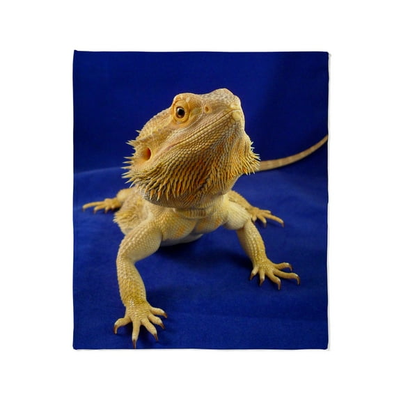 CafePress - Bearded Dragon Throw Blanket - Soft Fleece Throw Blanket, 50"x60" for All Ages