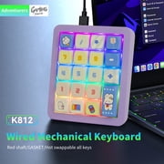 OUSEITECH 20-Key Mechanical Number Pad with Hot-Swappable Red Switches, RGB Backlit, USB-C Wired - Purple