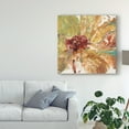 thumbnail image 3 of Trademark Fine Art 'Floral Splash I' Canvas Art by Tim OToole, 3 of 4