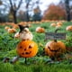thumbnail image 4 of Fiudx Estaca de Halloween para Jardín, Arte de Hierro Metálico, Diseño Duradero, Temática de Calabaza, Murciélago y Bruja Espeluznante, Decoración de Jardín Al Aire Libre, Resistente a La Intemperie,, 4 of 5