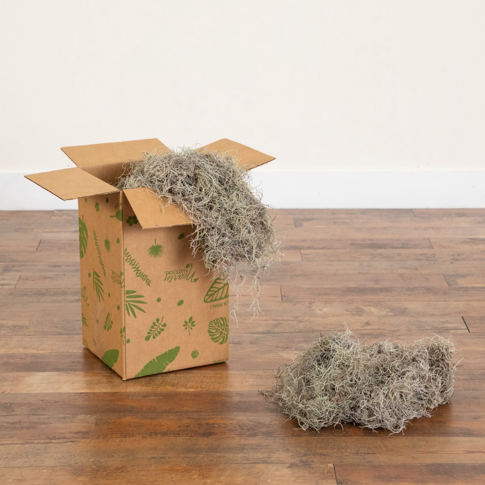 Natural Spanish Moss - 5Lbs