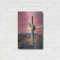 thumbnail image 3 of Luxe Metal Art 'Vibrant Cactus Sunset' by Lori Deiter, Metal Wall Art, 16"x24", 3 of 9