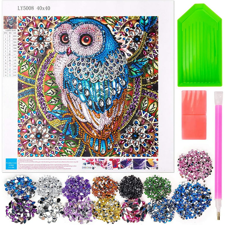 17 * 17 Inches 5D Diamond Painting Kits for Kids Teenager Aged 9-15 with  Diamond Painting Accessories and Introduction, Gifts for Children Teens  Women