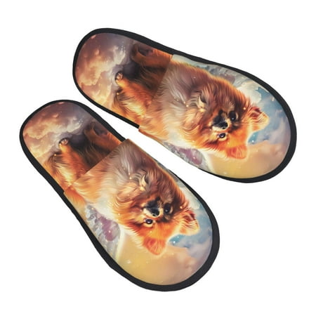 

Bingfone Cute Cloud Pomeranian House Slippers for Women Men with Soft Rubber Sole Slip On for Indoor/Outdoor-Large