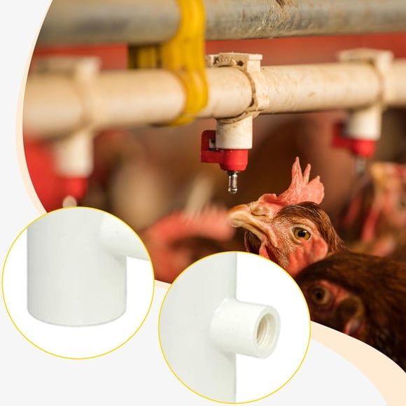 12 accesorios en T para bebederos de pollos, repuesto portátil, fácil de instalar, de 1/2", para bebederos de tetina y para aves de corral.
