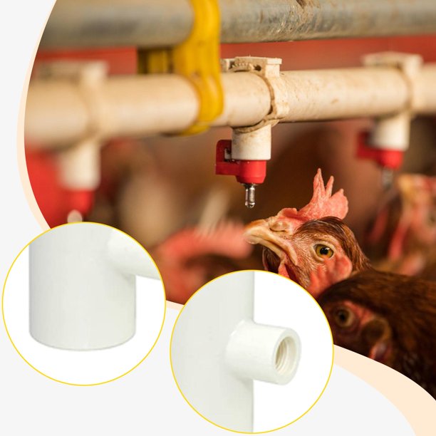 12 accesorios en T para bebederos de pollos, repuesto portátil, fácil de instalar, de 1/2", para bebederos de tetina y para aves de corral.