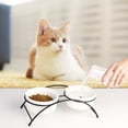 thumbnail image 4 of Ceramic Double Pet Bowl Protective Elevated Cat Bowl Raised Dog Bowl with Stand, 4 of 10