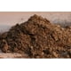 thumbnail image 4 of Kit De Sustratos Fibra De Coco, Peat Moss, Perlita, Humus, 4 of 5