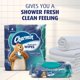 thumbnail image 3 of Toallitas desechables Charmin 160 en total (4 paquetes de 40), 3 of 8