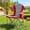 Red Gray, variant on Blazezo Portable Folding Rocking Camping Chair, Outdoor Rocker with Drink Holder, Heavy Duty 400 lb Capacity, Breathable Mesh, for Lawn Patio