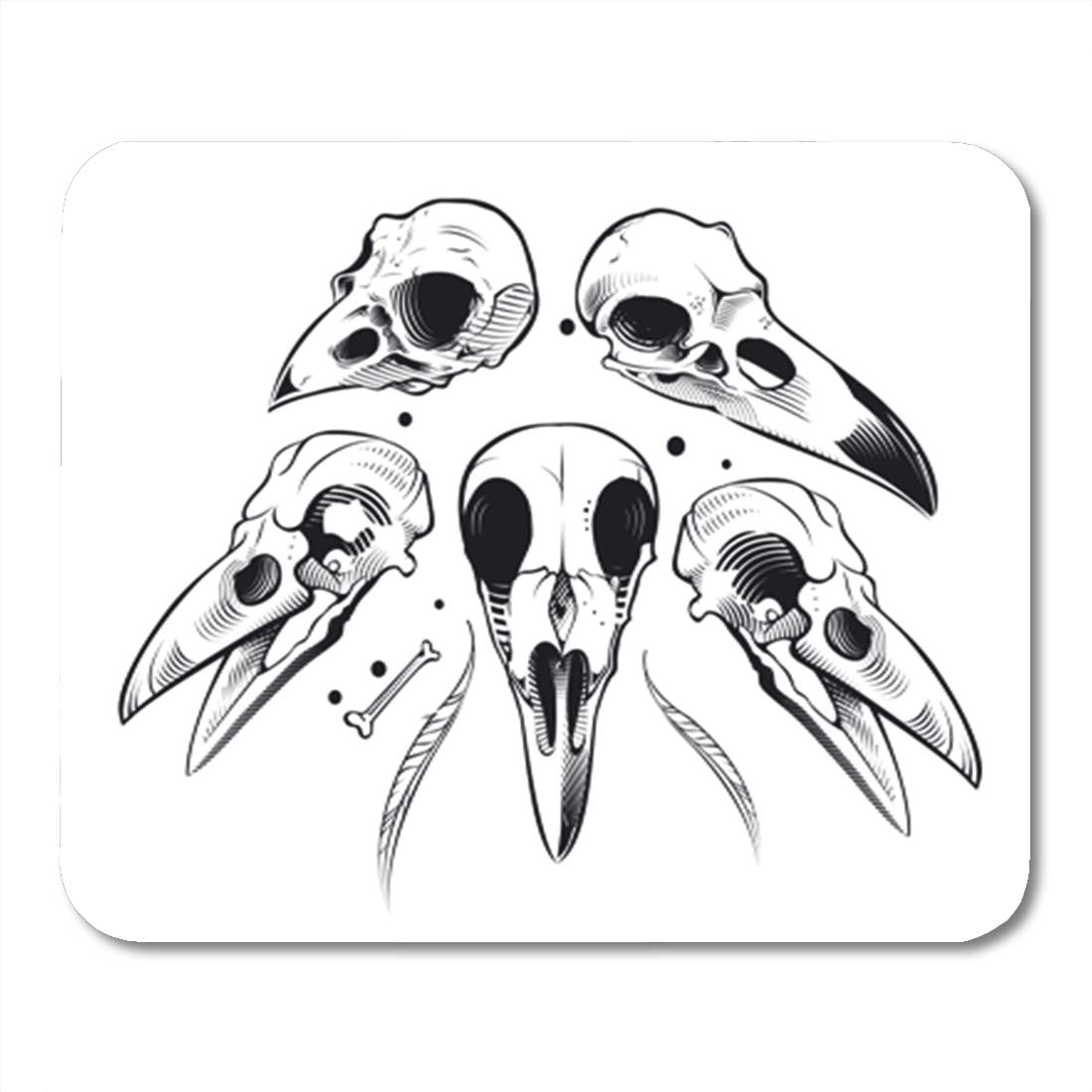 Tattoo Art Crow On A Skull Hand Drawing And Sketch Royalty Free SVG  Cliparts Vectors And Stock Illustration Image 172979483