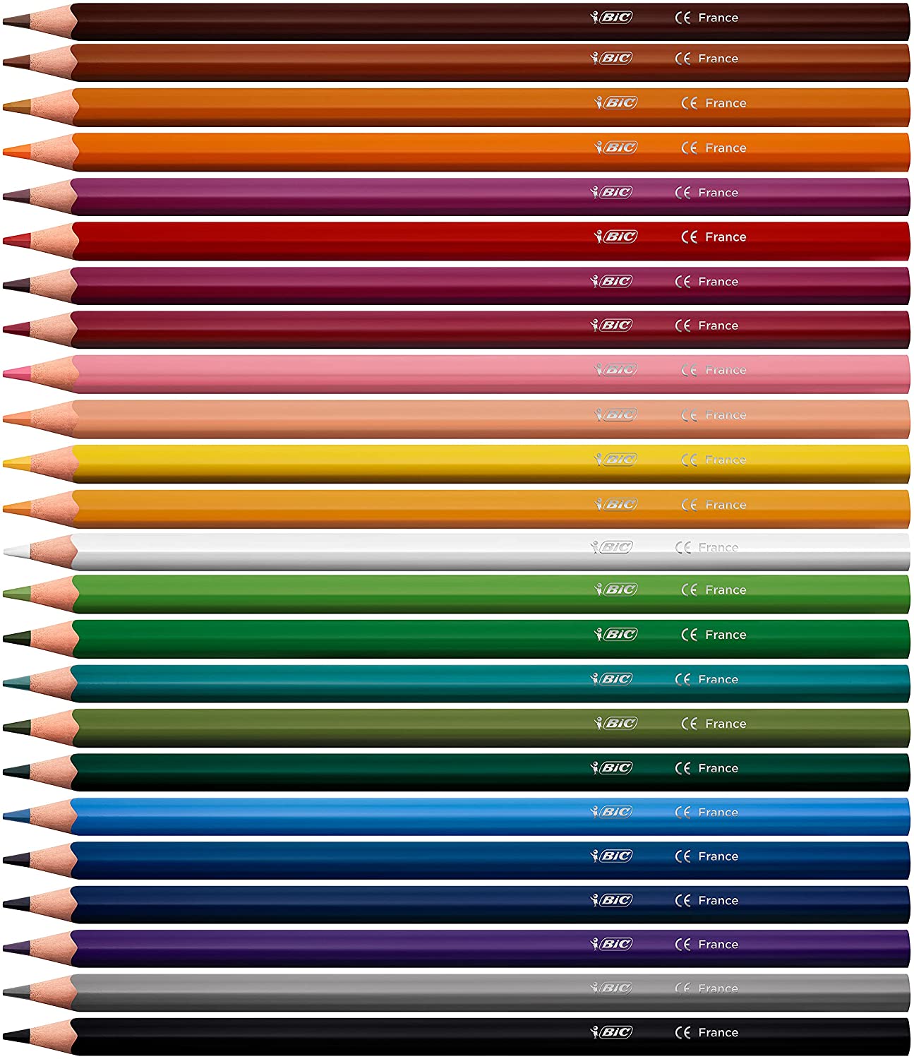 BIC Color Up Colouring Pencils - Assorted Colours, Pack of 24