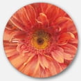 thumbnail image 1 of Designart'marguerite Rouge Vif' Art Mural Cercle en Métal Traditionnel - Disque de 36, 1 of 5