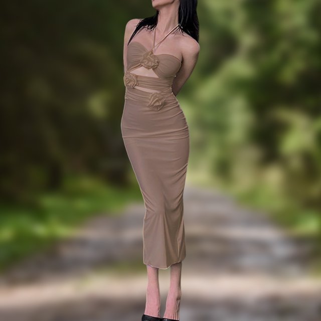 Vestido De Mujer Vestido de mujer Vestido sin mangas con flores en 3D Cuello halter ahuecado (Marrón M) Cgtredaw para Mujer Marrón T M