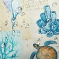 thumbnail image 5 of Nautical Coastal Shower Curtain, Beach Theme Shower Curtain Set for Bathroom, Vintage Sea Shell Turtle Fabric Shower Curtain Restroom Bathtub Decor Accessories with Hooks 72X 75 inch, 5 of 5
