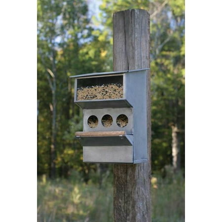Wall Mounted Seed Dispenser Backyard Bird Feeder Wall Mounted Seed Dispenser Backyard Bird Feeder