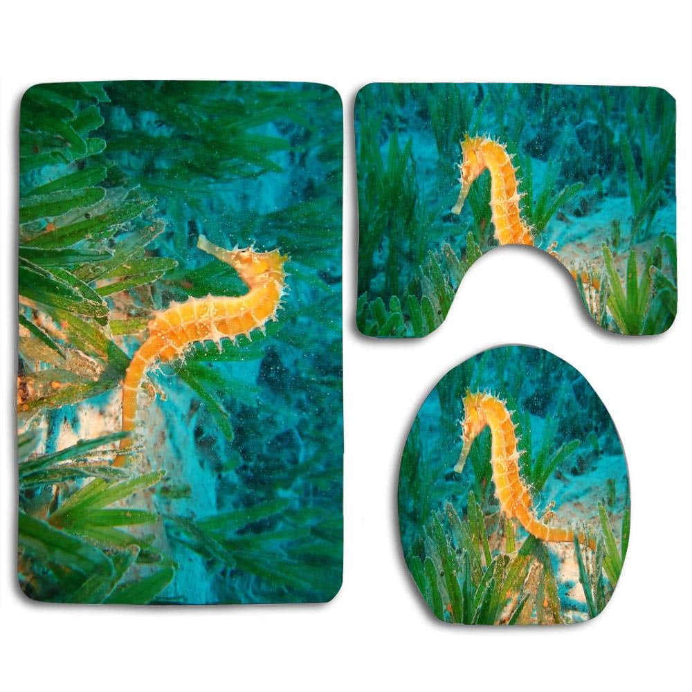 GOHAO Seahorse Under Sea 3 Piece Bathroom Rugs Set Bath Rug Contour Mat