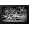 thumbnail image 2 of Susan Vizvary Photography 18x12 Black Modern Framed Museum Art Print Titled - Branch on The Beach in Black and White, 2 of 5