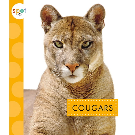 Spot Wild Cats: Cougars (Paperback)