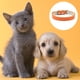 thumbnail image 3 of Collar de piel suave para perros: un collar para perros pequeños, medianos y grandes, 3 of 5