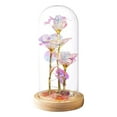 thumbnail image 2 of Home Decor Mothers Day Glass Rose Gifts for Mom Women, Rose Flower Birthday Gifts for Women Mom Wife Girlfriend, Light Up Rose in A Glass Dome, Rose Gifts for Valentines, Mothers Day, Womens Day, 2 of 7
