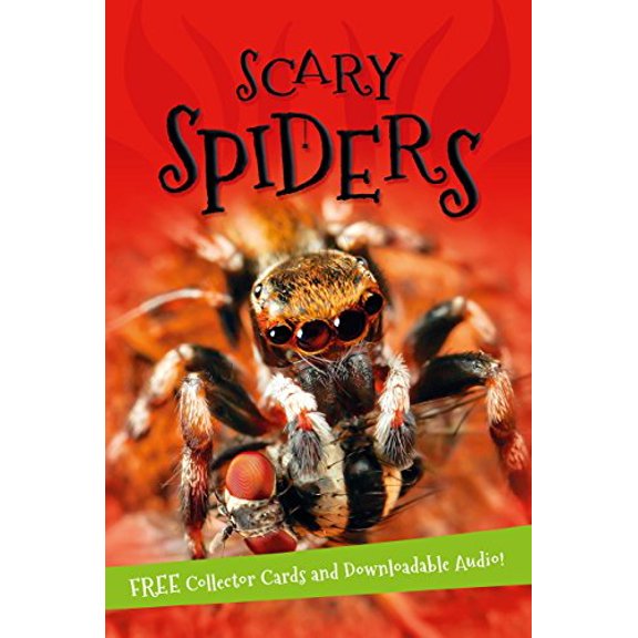 Pre-Owned It's All About... Scary Spiders (Paperback) by Kingfisher