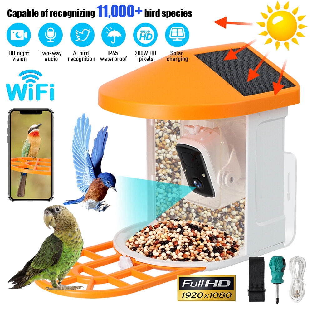 Solar Powered Smart Bird Feeder with Camera, AI Recognize Bird Species