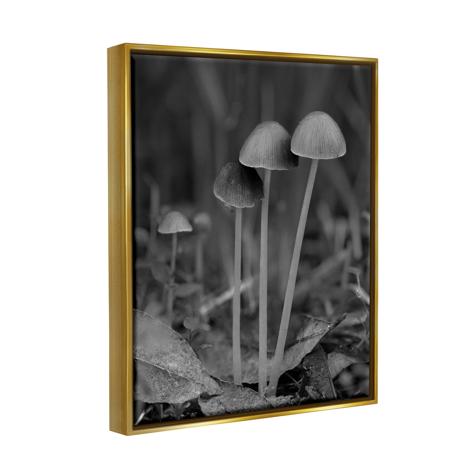 Stupell Industries Forest Mushroom Photography Botanical & Floral Photography Gold Floater Framed Canvas Art Print Wall Art, 25 x 31