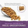 thumbnail image 2 of Caledon Farms all Natural Simply Freeze-Dried Dog Food Beef Recipe 280g, 2 of 11