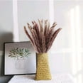 thumbnail image 6 of GRNSHTS Dried Pampas Grass Plumes 15 Pieces 17 Inch Tall Natural Dried Plants Artificial Faux Reed Flower Stems Bunch for Wedding Arrangements Vase Door Wreath Decoration, 6 of 7