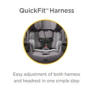 Safety 1st Grow and Go™ All-in-1 Convertible Car Seat, Everest