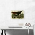 thumbnail image 2 of ARTCANVAS Wild Turkey Canvas Art Print by John James Audubon - Size: 18" x 12" (0.75" Deep), 2 of 9
