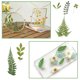 thumbnail image 3 of Hojas de vegetación secas para resina hojas prensadas reales artesanías de Likrtyny arte álbum de recortes marcadores hechos a mano suministros de decoración, 3 of 8
